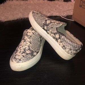 Steve Madden Slip On Snakeskin Sneakers